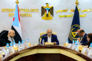 الجمعية الوطنية تؤيد الاحتجاجات الشعبية ورفضها أي محاولات لتوطين النازحين في الجنوب