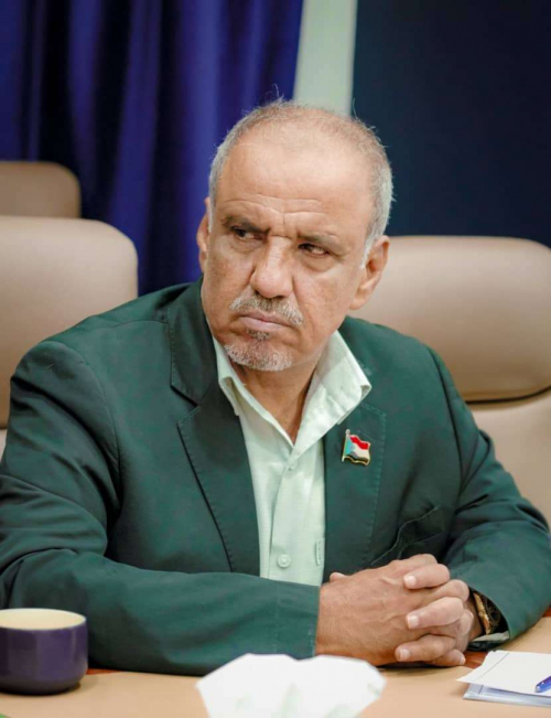 القوى المعادية أدركت استحالة العودة للجنوب عسكرياً فلجأت الى خلق الازمات