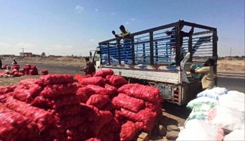 غياب سياسة زراعة المحاصيل الزراعية يضاعف من معاناة المزارعين بلحج