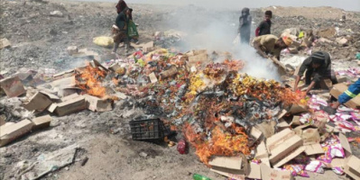 صحة بيئة المنصورة تتلف 16896 علبة جبن غير صالحة الإستهلاك