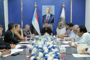 الهيئة الوطنية للإعلام تدعو لحشد كل الجهود الإعلامية في مواجهة مليشيات الحوثي
