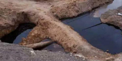 السلطة المحلية بمديرية الروضة بشبوة تطالب بوقف كارثة التلوث النفطي وتحمّل شركة الاستثمارات مسؤولية الإهمال