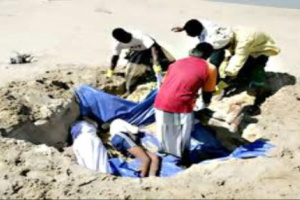 فاجعة كبرى: 250 جثة تغطي 4 شواطئ في مناطق الحوثيين