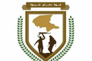 قوات دفاع شبوة توضح تفاصيل عملية عتق: استهداف وكر إرهابي والقضاء على أحد العناصر