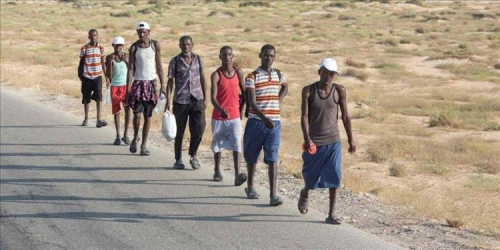 وصول 8,860 مهاجر أفريقي إلى اليمن