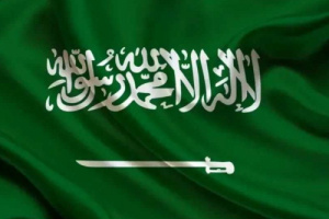 إجراء صادم..السعودية تجمد تأشيرات الزيارة والعمل والسياحة لـ14 دولة 