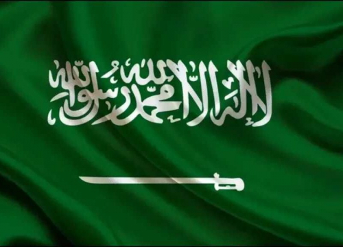 إجراء صادم..السعودية تجمد تأشيرات الزيارة والعمل والسياحة لـ14 دولة