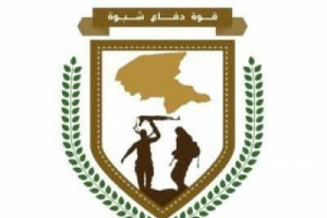 قوات دفاع شبوة تتمكن من الاطاحة بقيادات بارزة في تنظيم القاعدة الإرهابي