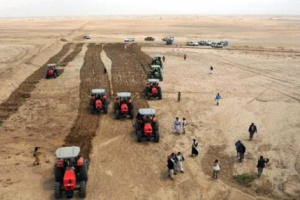 سرقة الحصاد.. الحوثي ينهب قمح مزارعي الجوف ويبتلع مليار ريال من عرق الفلاحين