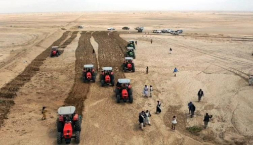 سرقة الحصاد.. الحوثي ينهب قمح مزارعي الجوف ويبتلع مليار ريال من عرق الفلاحين