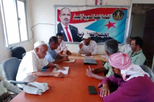 تنفيذية انتقالي زنجبار تناقش سبل تعزيز الأداء التنظيمي للهيئة