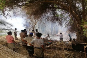 حريق في مزارع الديس الشرقية والسلطة تطالب بدعم الإطفاء