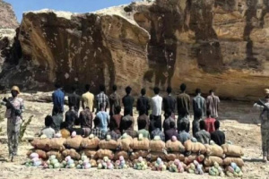 السعودية تحبط تهريب ربع طن قات وتطيح بـ10 يمنيين متورطين