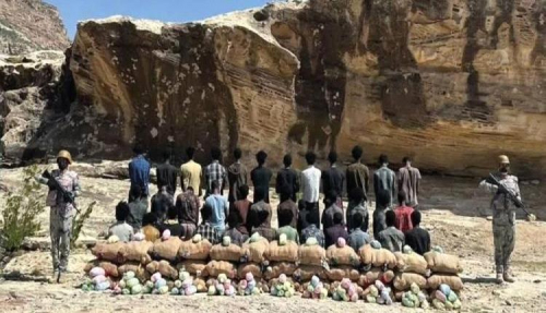 السعودية تحبط تهريب ربع طن قات وتطيح بـ10 يمنيين متورطين السعودية تحبط تهريب ربع طن قات وتطيح بـ10 يمنيين متورطين