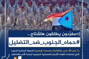 سياسيون: هناك مصادر تمويل وأجندات خفية وراء حملات التشويه ضد قواتنا الأمنية الجنوبية