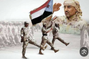 الحملات المسعورة لن تستطيع النيل من القوات الجنوبية 