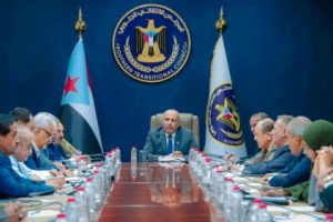 هيئة الرئاسة تؤكد ضرورة إحداث إصلاحات شاملة في مؤسسات الدولة لإخراج البلاد من أزمتها