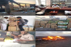 ضبط وإتلاف زيادي فاسد بكميات كبيرة في شبوة