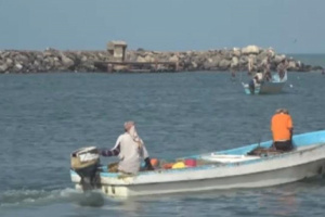 عودة 60 صياداً يمنياً إلى الخوخة بعد الإفراج عنهم من السجون الإريترية