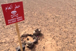 مسام يدعو سكان المناطق الساحلية والصحراوية لتوخي الحذر من خطر الألغام