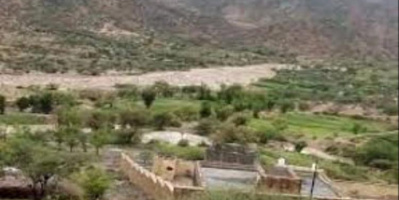 قتلها أمام أطفالهما بلا رحمة.. جريمة بشعة تهز معبق وتكشف وحشية خلف الأبواب المغلقة