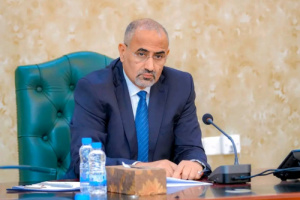 اللجنة العليا للموارد السيادية والمحلية تبحث الوضع الاقتصادي والتدابير اللازمة لتفعيل المؤسسات الإيرادية