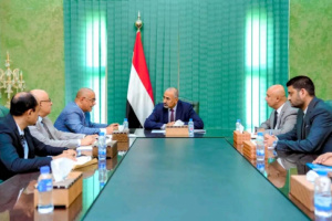 الرئيس الزُبيدي يشدد على أهمية النهوض بقطاع الاتصالات وفق رؤية استراتيجية حديثة