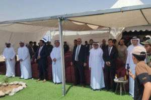الرئيس الزُبيدي يفتتح محطة الطاقة الشمسية في شبوة بقدرة 53 ميجاوات