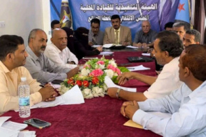 تنفيذية انتقالي الضالع تناقش مستوى الانضباط الإداري وتعزيز الأداء المؤسسي