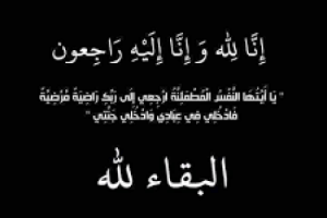 قائد المقاومة الجنوبية بأحور يعزي قائد الكتيبة الثانيه بالحزام الأمني الساحل بوفاة زوجتة