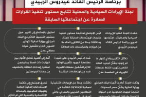 انفوجرافيك| الرئيس الزُبيدي: الانضباط المالي والإداري ركيزة تحقيق الاستقرار