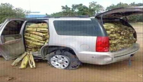 السعودية تُسقط 8 محاولات تهريب 829 كيلو قات من اليمن وتقبض على مهربين السعودية تُسقط 8 محاولات تهريب 829 كيلو قات من اليمن وتقبض على مهربين