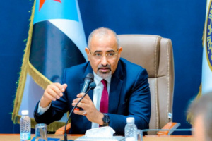 سياسة الرئيس الزبيدي نقطة تحول لإنقاذ الأمن والسلم الدوليين