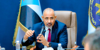 سياسة الرئيس الزبيدي نقطة تحول لإنقاذ الأمن والسلم الدوليين