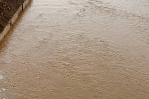 فاجعة تهز أبين.. غرق خمس نساء من أسرة واحدة في حفرة سيول بأحور ( أسماء)