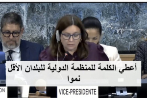 المنظمة الدولية للبلدان الأقل نمواً تدعو لإعادة هيكلة مجلس القيادة وتشكيل حكومتين انتقاليتين للشمال والجنوب