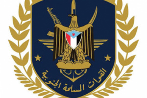 مصدر في مالية قواتنا المسلحة ينفي بيانًا مزورًا باسم الدائرة