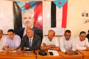 فريق التوجيه يعقد لقاءً مشتركًا مع قيادتي الانتقالي والسلطة المحلية في حالمين