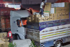 قوات الحزام الأمني بلحج تضبط مبيدات حشرية منتهية الصلاحية