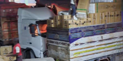 قوات الحزام الأمني بلحج تضبط مبيدات حشرية منتهية الصلاحية