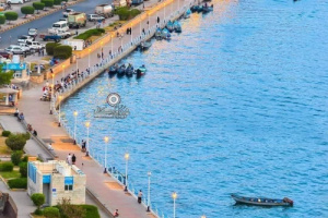 المكلا..القبض على متهم بعمليات نصب في أربع محافظات