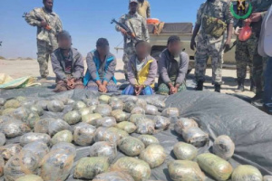 المخدرات .. السلاح الخفي في الحرب الممنهجة على الجنوب (تقرير)