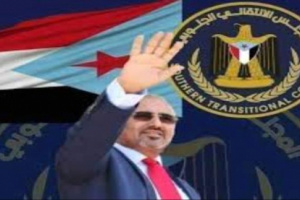 كلما اشتدت الأزمات ازداد الانتقالي صعودًا وثبات