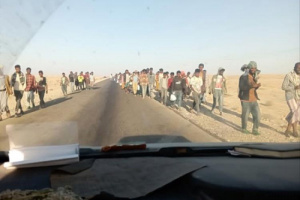 وصول أعداد كبيرة من المهاجرين غير الشرعيين إلى سواحل شبوة