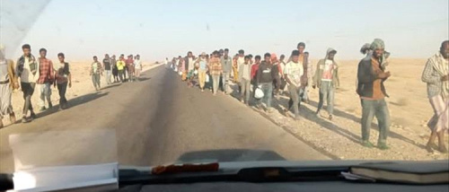 وصول أعداد كبيرة من المهاجرين غير الشرعيين إلى سواحل شبوة