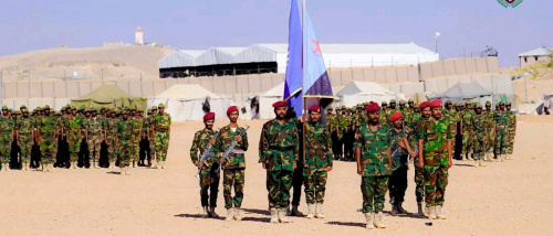 قوات دفاع شبوة تحتفل بتخريج اللواء الثامن مستجدين