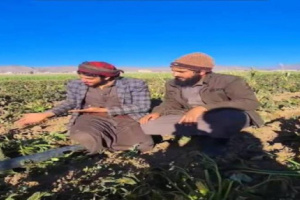 فلكي يحذر من موجة صقيع هي الأشد هذا الموسم تضرب مرتفعات هذه المحافظات خلال أيام