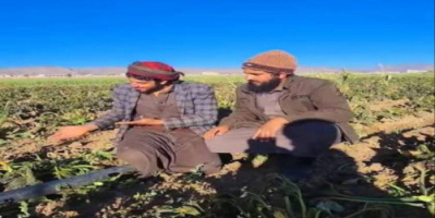 فلكي يحذر من موجة صقيع هي الأشد هذا الموسم تضرب مرتفعات هذه المحافظات خلال أيام