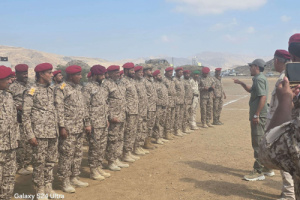 قائد ألوية الدعم والإسناد يتفقد الجاهزية القتالية للواء الرابع دعم وإسناد