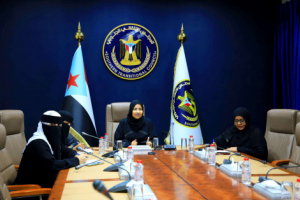 هيئة المرأة تعقد لقاءّ تشاورياً بمديري ادارتها في الهيئات التنفيذية بالمحافظات